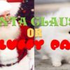 santa claus fluffy paws