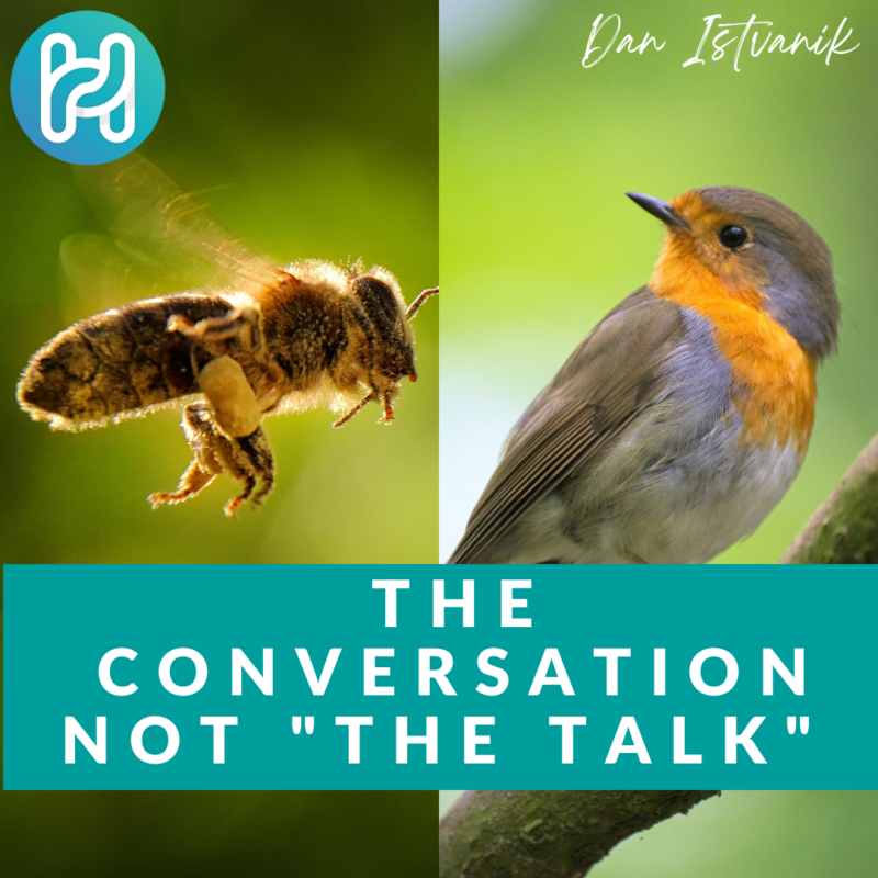 The Conversation, The Talk
